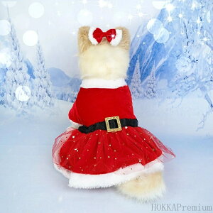 yzybg T^ɕϐg p Lp s[X RXv  L hbOEFA LbgEFA  Xmas ^ ^ pi
