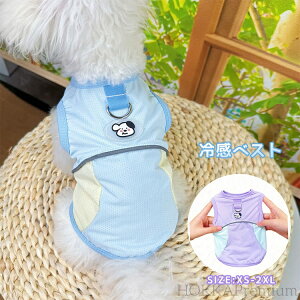 yz ⊴xXg  N[xXg  Ђ ^ ^ hbOEFA pR[g ĕ DJt ʋCbV  z UVJbg