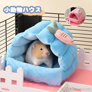 yznX^[ nEX  Q  nbN ~ ۉh X   g xbh ӂӂ  nlY~ bg IE nEX LbgnEX