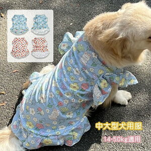 yz^  tVc hbOEFA xXg ^ pW}tėp [EFA p[X  畆a ї\h pPA ^ ^ m