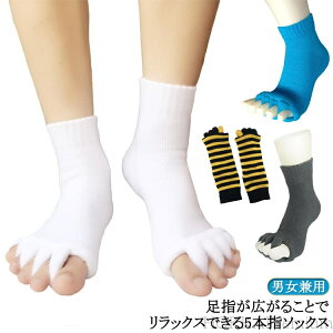 yzAQp C {w V[g wJ\bNX ΍ Lނ w \h O Zs[\bNX