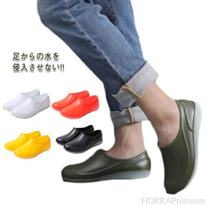 yzՌz ϖ ɂ ƌC Lb`V[Y CV[Y ~[ pvX RbNV[Y Jp