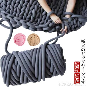 yz ɑю w҂ A[jbeBO jbg[ `L[[ ю ɑ 20F 250g `L[jbg