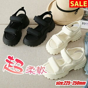 yzX|[cT_ fB[X ₷ Ȃ  ؂ }WbNe[v  킢 y K ɂȂ _炩 JWA