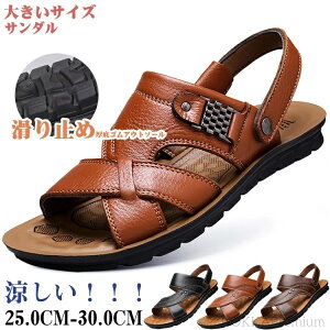 yz傫TCY T_ Y  ₷ ؂ Y X|[cT_ AEghA ~ vC r[`V[Y YV[Y l amC