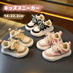 yzXj[J[ LbY WjA ^C V[Y qp qC j̎q ̎q JWA X|[c y  킢 ʉ ʊw o ig