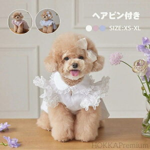 yzybg 킢  s[X wAst 2_Zbg Pl [X XJ[g ̎q hX hbOEFA  ^ ^ m _炩