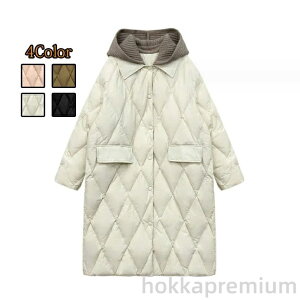 yzi H~V fB[XR[g ? _EWPbg ʋ  _ER[g  g  ʊw y_E