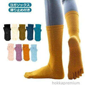 C K zbg KEFA C nC\bNX O \bNX K ~ nCJbg fB[X ܖ{w\bNX