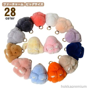 yzrbOTCY obO`[ t@[ 10cm v[g l  L[z_[ At@[ `[ fB[X 