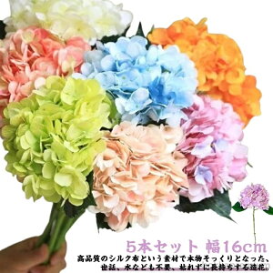 yz͂Ȃ  z ItBX A z[ {[ AWTC X 16cm A[gt[ rbO t 