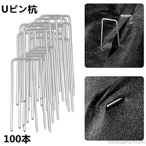 yzUsY us 100{ hV[g Œp lH s U^s }Y Y _Ɨplbg 10cm _ K[f K[fjO