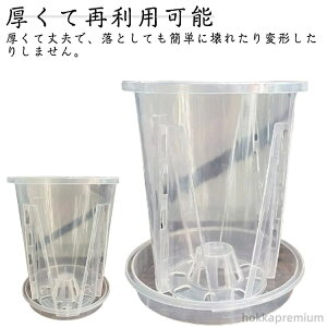 【送料無料】排水穴付き 穴とソーサー付き 透明 穴付き 蘭の鉢 透明 植木鉢 育苗ポット 胡蝶蘭の植木鉢 5個トレイ付き 5鉢セット