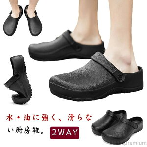 yzRbNV[Y Ȃ Y ~[p E h ƌC Lb`V[Y [N} T_ 2WAY h T{ Hp