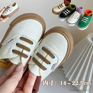 yzYbN 킢 V[Y C V[Y j̎qxr[ ̎q LbY 㗚X|[cC xr[Xj[J[qC