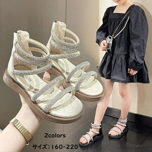 yzyrxt020 ~  EVA V[Y r[`T_ ̎q j̎q T_ 킢 T_ xr[ T