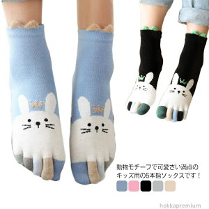 yzXj[J[ X|[c \bNX j̎q ʊw ʉ ʋC Lk   qp ̎q \bNX H~ 5{w\bNX