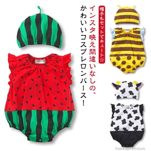 yzxr[ {fB[X[c Be m[X[u j̎q 킢 n`   Jo[I[ CX^f Xqt ̎q