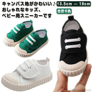 yzfUC LbY ̎q  qV[Y j̎q   JWA 㗚 w   