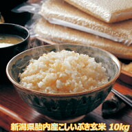 セール再販 数量限定 新米　令和7年産 新潟産こしいぶき 10kg 玄米 送料無料 食味Aランク 農薬節減（7割…