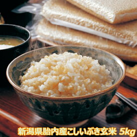 新米 令和5年産 新潟産こしいぶき 5kg 玄米　送料無料 【送料込み】食味Aランク 農薬節減（7割減）ほぼ無農薬での栽培　有機肥料栽培米・残留農薬ゼロ（検査済） 一等級【色選別済】一等米