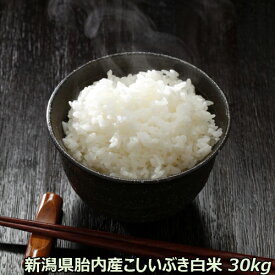 新米 令和5年産 新潟産 こしいぶき 30kg 白米 （10kgの3袋で発送）【玄米からの精米 27kg〜28kg発送】【精米済】【送料込み】 減農栽培栽培期間中の化学農薬はほぼ不使用　農薬節減（7割減） 有機肥料栽培米 一等米 送料無料