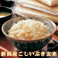 新米 令和7年産 新潟産こしいぶき 5kg 玄米　送料無料 【送料込み】食味Aランク 栽培期間中ほぼ 無農薬 …