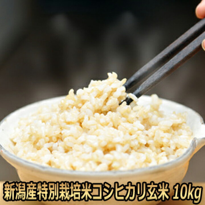 楽天市場】令和7年産 新潟産 特別栽培米 コシヒカリ 玄米 10kg 送料 