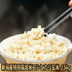 令和5年産　新潟県特別栽培米コシヒカリ玄米 15kg 農薬節減（7割減） 有機肥料栽培米・残留農薬ゼロ（検査済） 送料無料 (10kg+5kg) （玄米 新潟産）