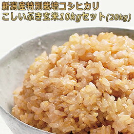 令和5年産 新潟産特別栽培米 玄米 コシヒカリ・こしいぶきセット 10kg×2（20kg) 　食味Sランク・Aランク　農薬節減（7割減） 有機肥料栽培米・残留農薬ゼロ（検査済） 詰め合わせセット 一等米 ［玄米 お取り寄せ 送料無料］ほぼ 無農薬