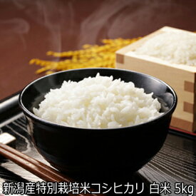 令和7年産 新潟産特別栽培米こしひかり 白米 5kg 【精米済】食味Sランク 農薬節減（7割減） 有機肥料栽培米・残留農薬ゼロ（検査済） 5kgクラフト米袋で発送　送料無料 新米 コシヒカリ 一等米 ［ 白米 お取り寄せ］