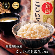 新米 令和8年産 新潟産こしいぶき 5kg 玄米　送料無料 【送料込み】食味Aランク 栽培期間中ほぼ 無農薬 …