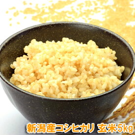 令和5年産 新潟コシヒカリ 5kg 玄米 送料無料 食味Sランク　【産地直送】 新潟玄米 農薬節減（7割減） 有機肥料栽培米・残留農薬ゼロ（検査済） こしひかり 玄米5kg