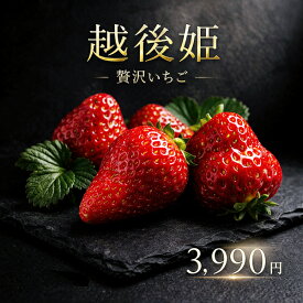 【母の日 ギフト】新潟産 いちご 越後姫 15個【400〜480g】 2L〜3Lサイズ イチゴ 苺 ギフト 化粧箱入り プレゼント （えちごひめ）贈物 ラッピング無料 2025年5月11日 母の日にぴったりなギフトです