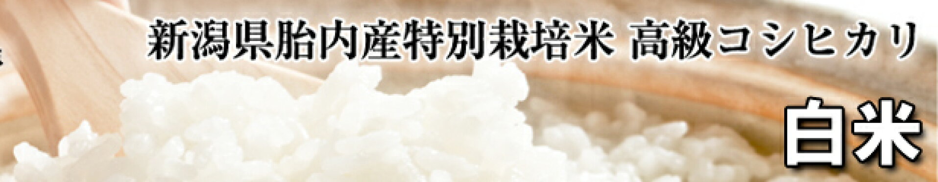 特別栽培米コシヒカリ 白米 送料無料