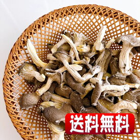 岩手県産露地栽培乾燥 Oyster Mushroom（ひらたけ） 140g(全国一律・送料無料・同梱、代引不可・クリックポスト配送)