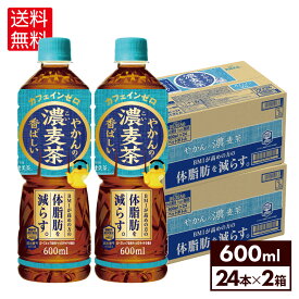 コカ・コーラ やかんの濃麦茶 from爽健美茶 600ml ペットボトル 24本入り×2ケース【送料無料】