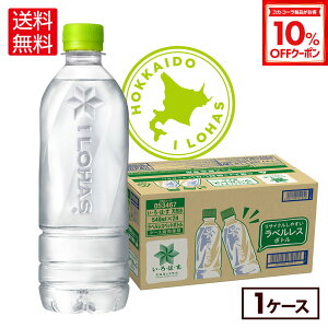 y10%OFFN[|Ώ 12/11 23:59܂ŁzRJER[ EÉE kC̓VR xX 540ml ybg{g 24{