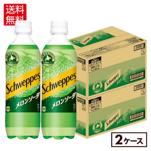 RJER[ VEFbvX \[_ 490ml ybg{g 24{×2P[Xyz