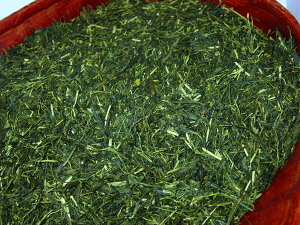 yꌧwebYWzpOEꗬ ! ߍ]̒_ƎƗpԓEݍr yr2z500g