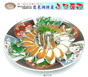 yꌧwebYWzqiyzE2Cϔ i΂̖Y(ӂȂ)Yn璼yN[֑z