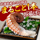 たこ足1本 1kg前後　ボイル ボイルたこ ボイルタコ たこ 特大サイズ ボイル済み 特大 タコ タコ足 お酒のつまみ ビー…