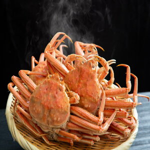 kCY IIYCKj p 2kg 4-5/ YC YCKj YCKj YC I  JjX   CN C̍K CY e t Y kC 