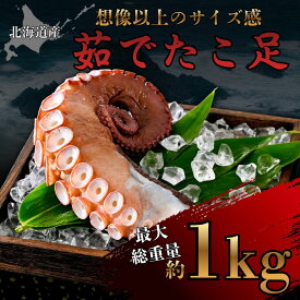 たこ足 ボイル 北海道産 約1kg ボイル済み 冷凍 刺身 唐揚げ 海鮮 お取り寄せ 送料無料