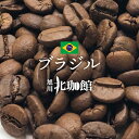 ブラジル トミオ・フクダ D.O.T　100g/シティロースト/スペシャリティコーヒー豆/ネコポス(メール便)対応【自家焙煎珈琲】（ドライ・オン・ツリー/Dried On Tree）