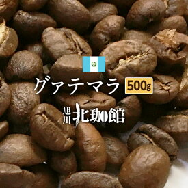 【500g】グァテマラ アルト・デ・メディナ農園 SHB（250g×2袋）ネコポス(メール便)発送/お得用/コーヒー豆【自家焙煎珈琲】