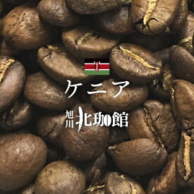 ケニア AA コフィナフ ウォッシュト　100g/シティロースト/スペシャリティコーヒー豆/ネコポス(メール便)対応【自家焙煎珈琲】