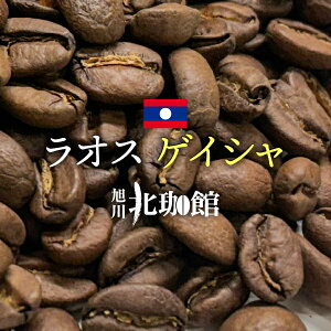 IX QCV EIbVh@100g/VeB[Xg/XyVeBR[q[/lR|X([)Ήyz