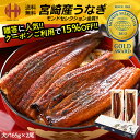 ＼クーポンで15％OFF！／ うなぎ 鰻 国産 蒲焼き 大サイズ 165g前後×2尾 宮崎県産 ウナギ 山椒付き鰻蒲焼のタレ×2袋 化粧箱 送料無料 ギフト