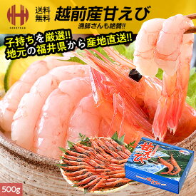 甘エビ 甘えび 特大 中サイズ 子持ち 卵 刺身 生食 内容量選択 500g 1kg 冷凍 越前甘エビ 福井県 福井県産 産地直送 送料無料 ギフト